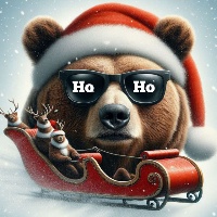 HoHo PAPA BEAR