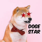 Doge Star BSC
