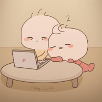 Chippi Twins