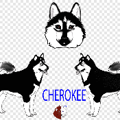 Whusky