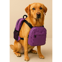Dogs_Wif_Bags
