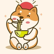 LIL X DOGE