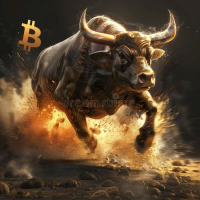 BULLRUN2.0