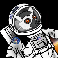 The Lemur Coin