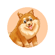 DOGACOIN
