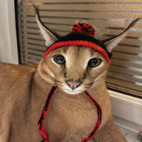 catwifhat
