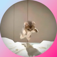 FLY