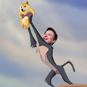 ElonDogeRise