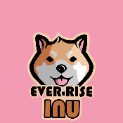 Ever Rise Inu