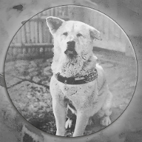 Hachiko