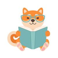 Book Floki