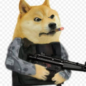 DogeSoldier