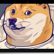 MyDawgy