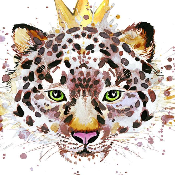 King Leopard