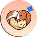 Anisaver Token