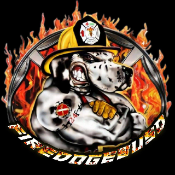 Fire Doge BUSD