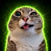 Rigby The Cat