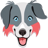 Aussie Doodle