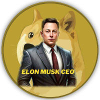 ElonMusk CEO