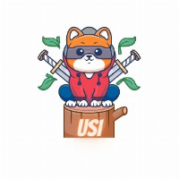 Usi ius