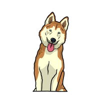 HUSGE INU