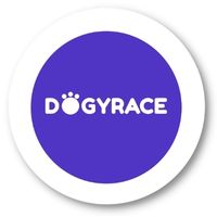 DogyRace NFT Racing Game