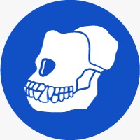 ApeCoinBSC.com
