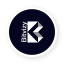 Bitvizy