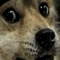 SnoopDogePunk