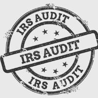 Audit the IRS