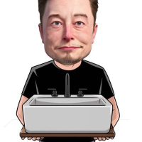 Elon Sink