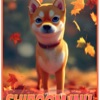 SHIBOOM INU