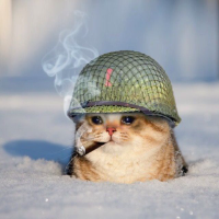 WAR KITTY'S COMMUNITY