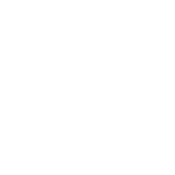 Dogecoin Is Money