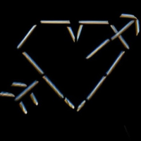 LOVECOIN