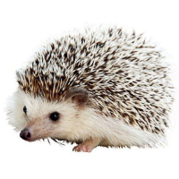 Carl