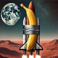Space X Banana