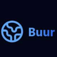 Buur AI