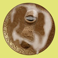 NUTCOIN