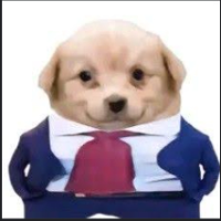 Very Important PUP