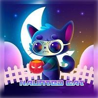 Haunted Cat