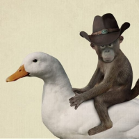 C:\MonkeyOnDuck\XP