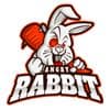 ANGRY RABBIT
