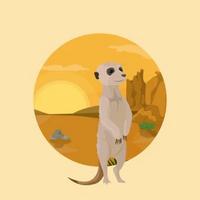 Sherman mongoose coin