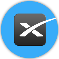 X AI