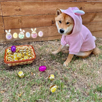Happy Ester Bunny