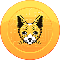 Binance Cat token