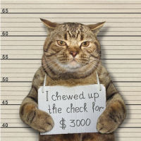 CUFF