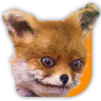 Stoned Fox