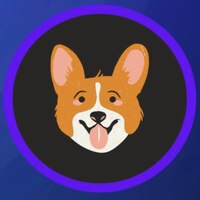 BABY DINGO